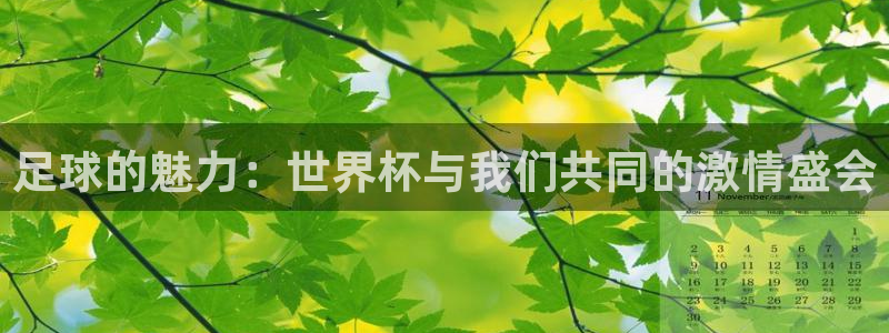 2006世界杯：足球的魅力：世界杯与我们共同的激情盛会