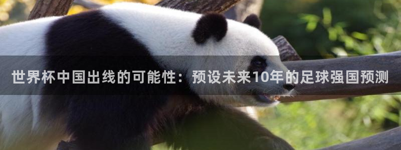 世界杯官网:世界杯中国出线的可能性:预设未来10年的足球强国预测