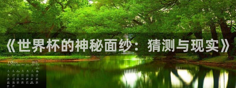 世界杯直播观看:《世界杯的神秘面纱:猜测与现实》