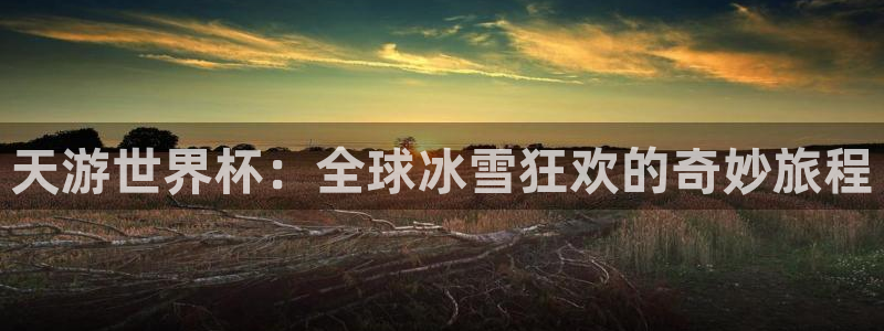世界杯直播平台:天游世界杯:全球冰雪狂欢的奇妙旅程