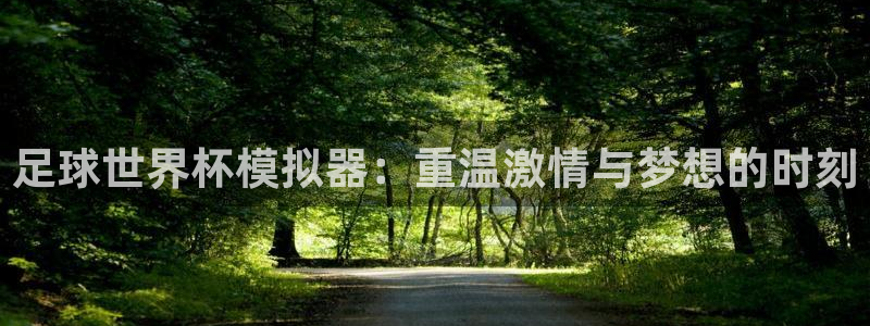 世界杯足球直播:足球世界杯模拟器:重温激情与梦想的时刻