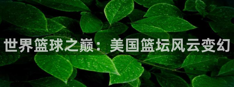 世界杯预选赛直播：世界篮球之巅：美国篮坛风云变幻