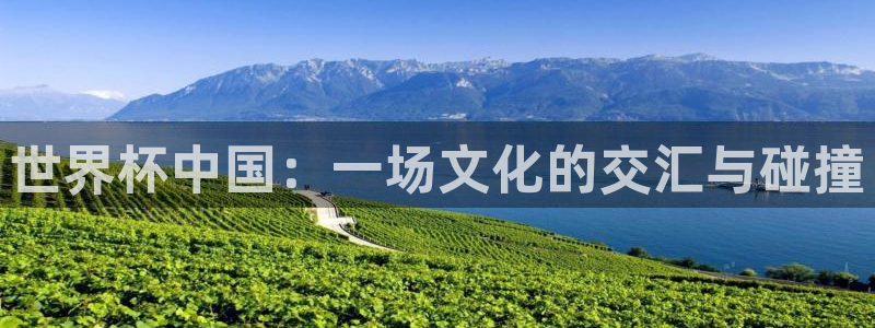 葡萄牙世界杯赛程：世界杯中国：一场文化的交汇与碰撞