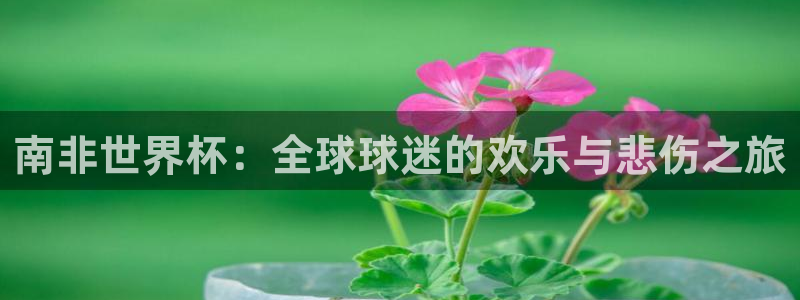 世界杯直播在线观看入口：南非世界杯：全球球迷的欢乐与悲伤之旅