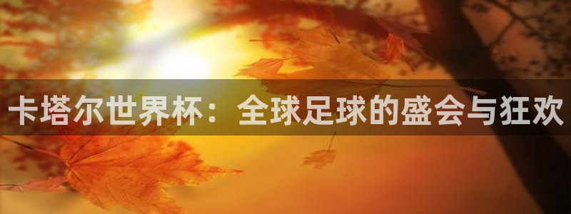 世界杯足球2026：卡塔尔世界杯：全球足球的盛会与狂欢