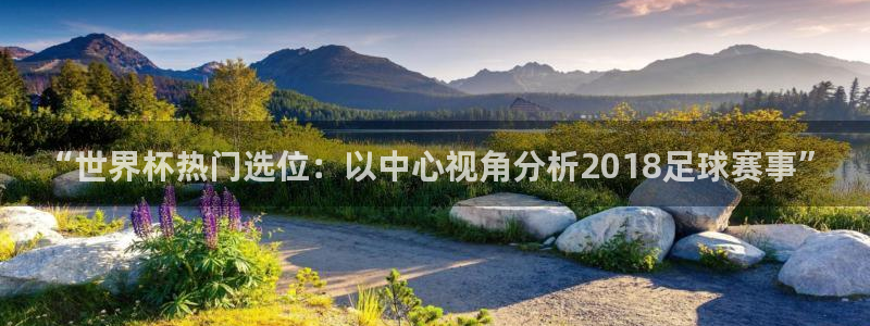 2026世界杯直播免费观看：“世界杯热门选位：以中心视角分析2018足球赛事”